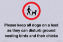 please-keep-all-dogs-on-a-lead-as-they-can-disturb-ground-nesting-birds-and-thei~